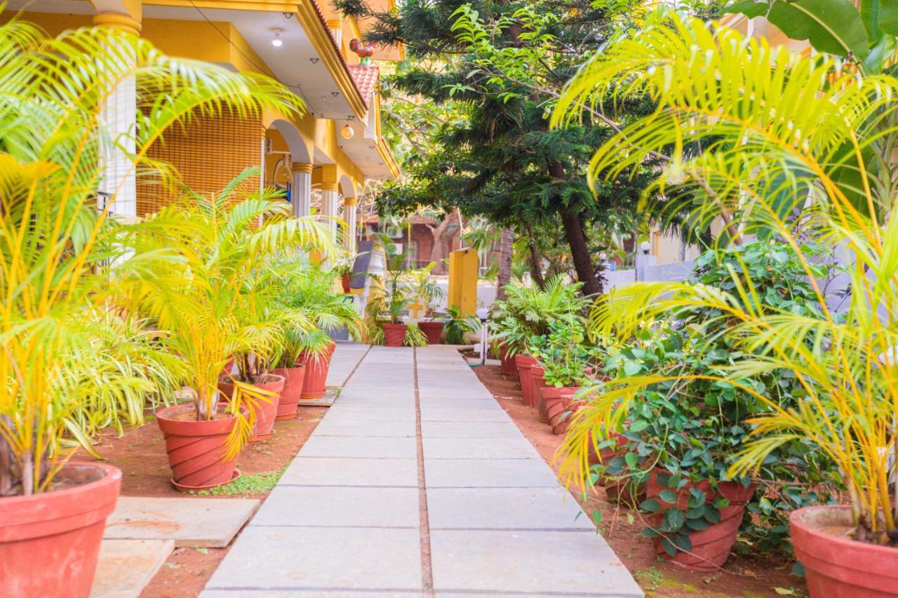 Primavera Holiday Homes-Family Run Goan Guest House カンドリム エクステリア 写真